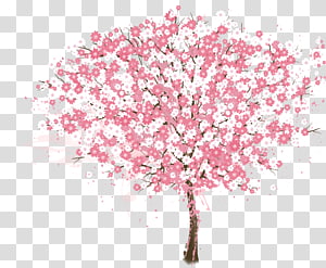 300x247 Vector Cherry Tree Transparent Background Png Cliparts Free
