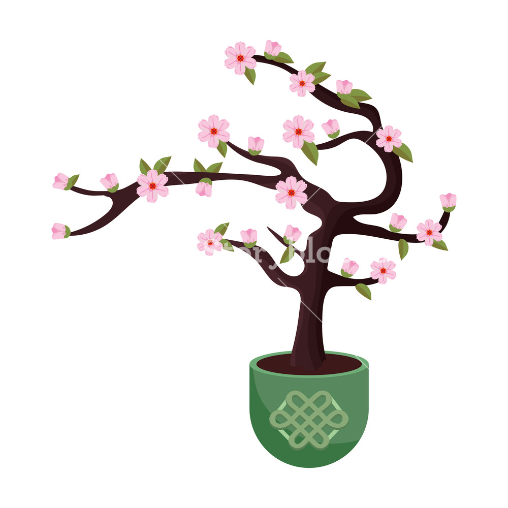 1000x1000 Cherry Blossom Tree Vector Illustration Graphic Design Royalty