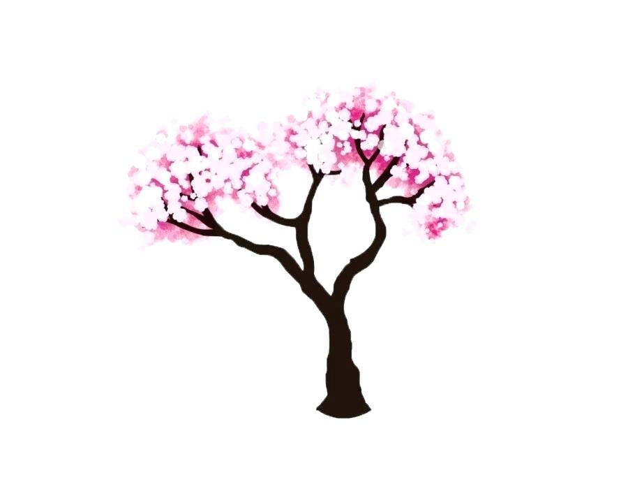 900x720 Sakura Tree Drawing