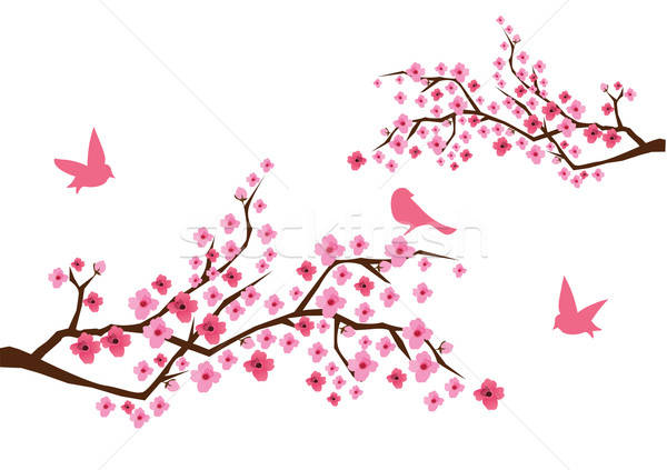 600x423 Cherry Blossom Vector Illustration Lilac