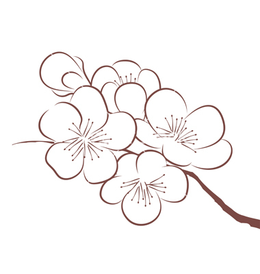 380x400 Cherry Blossom Vector Art Uploaded