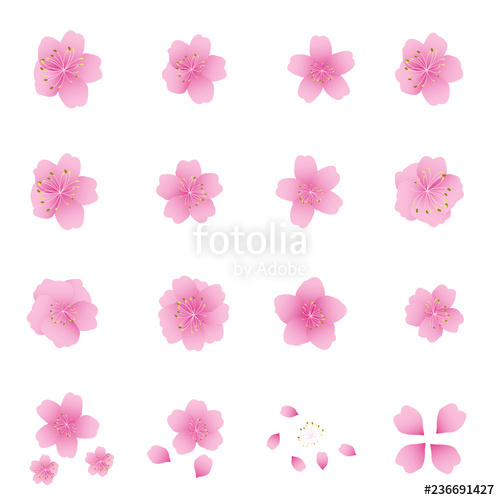 500x500 Sakura Flowers Icon Set Cherry Blossom Vector Illustration