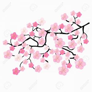 300x300 Spring Background With Sakura Or Cherry Blossom Vector Wallkeeper