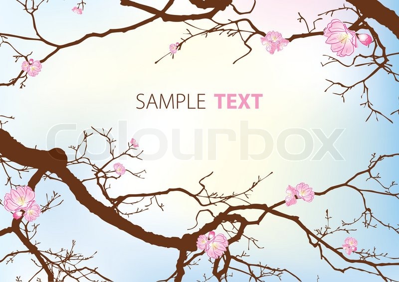 800x566 The Oriental Cherry Blossoms Vector Stock Vector Colourbox