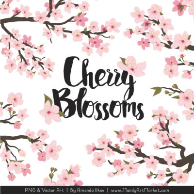 400x400 Free Cherry Blossom Vectors Archives