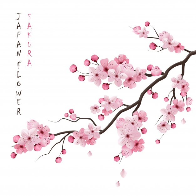 626x626 Blossom Vectors, Photos And Free Download