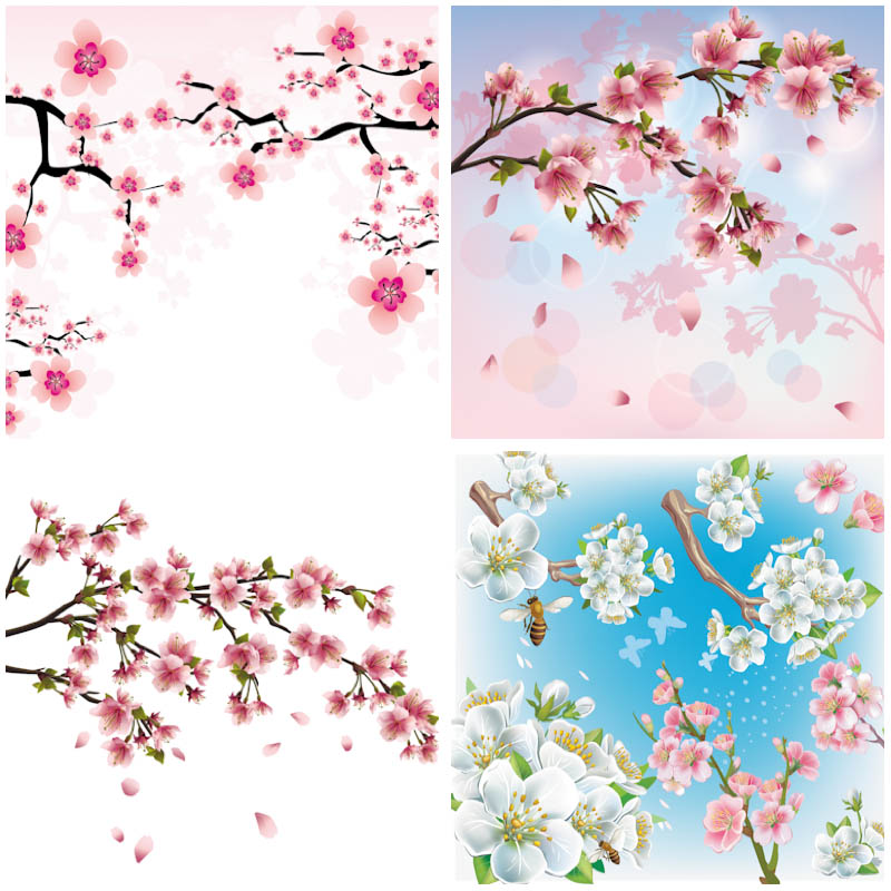 Cherry Blossom Flower Vector Art Images 800x800 Cherry Blossom Flower Vector Art Images
