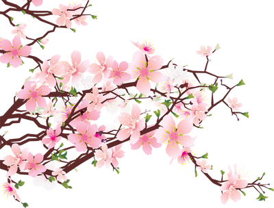 Cherry Blossom Clip Art Free 400x304 Cherry Blossom Clip Art Free
