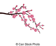 Cherry Blossom Clip Art 240x195 Cherry Blossom Clip Art