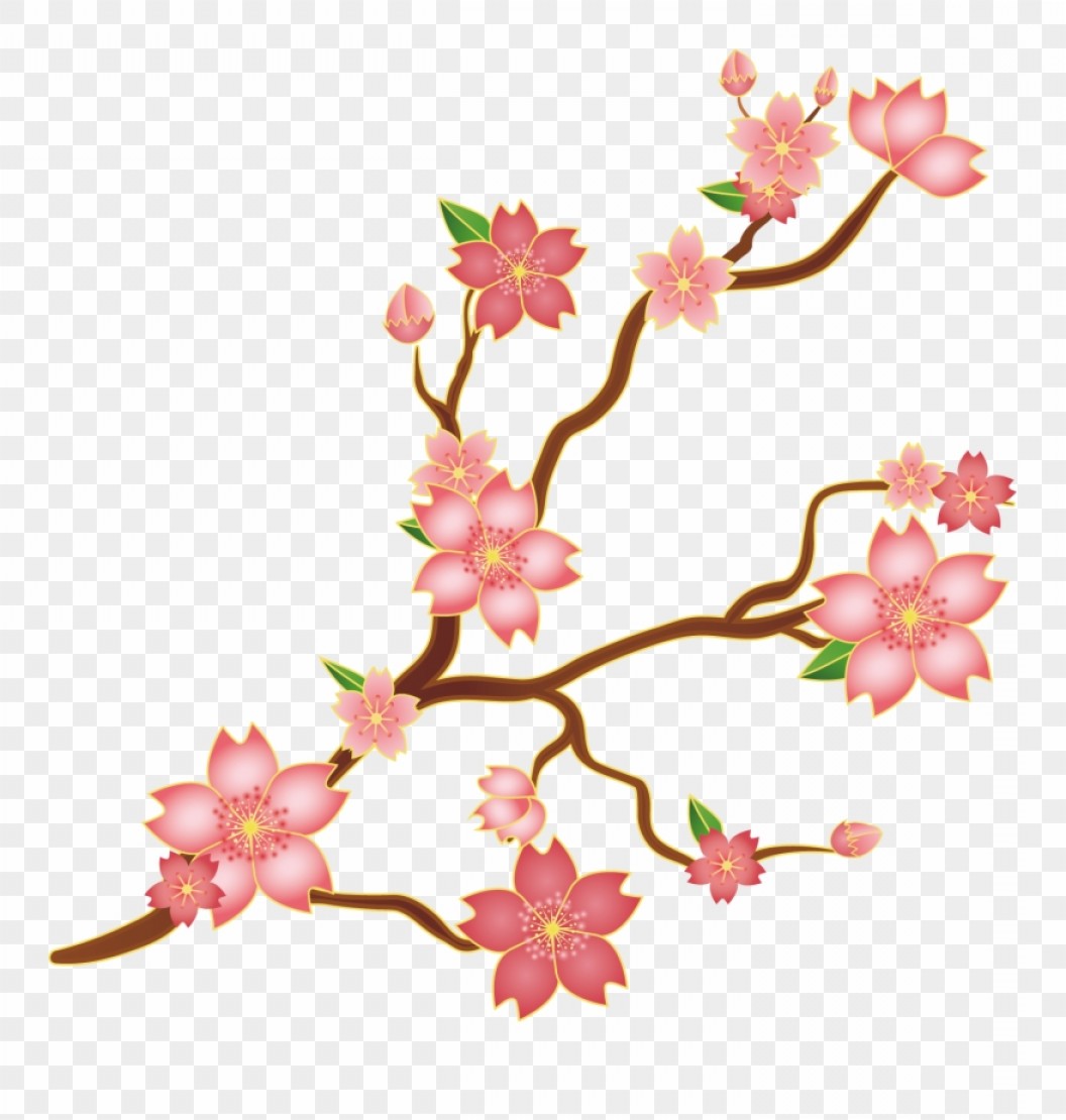 Ibmwhosvg Library Stock Cherry Blossoms Clipart Cerezo Vector 1056x1110 Ibmwhosvg Library Stock Cherry Blossoms Clipart Cerezo Vector