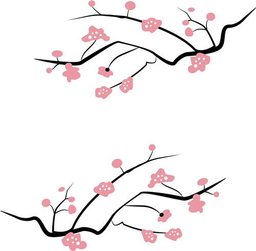 Japanese Cherry Blossoms Vector And Art 500x491 Japanese Cherry Blossoms Vector And Art