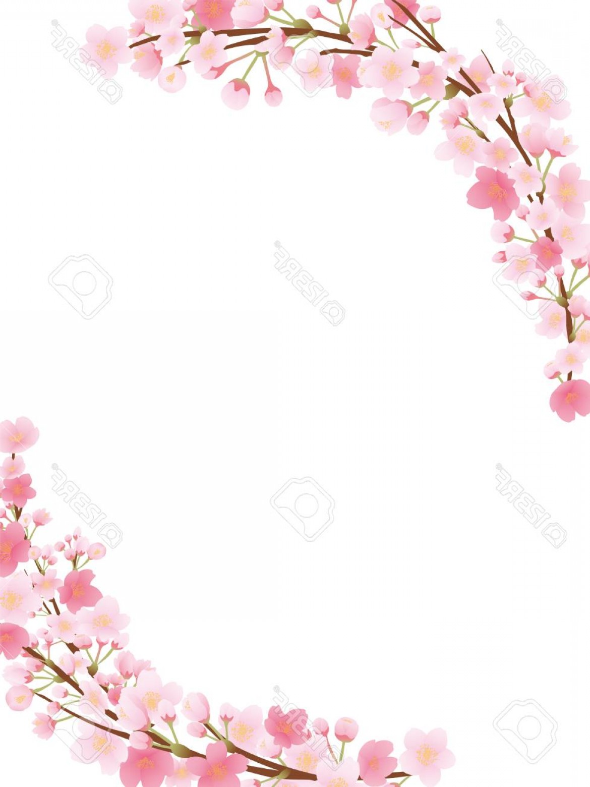 Photostock Vector Cherry Blossom Vector Frame Wallkeeper 1170x1560 Photostock Vector Cherry Blossom Vector Frame Wallkeeper