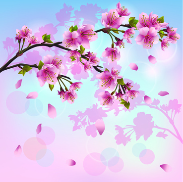 369x368 Cherry Blossom Free Vector Download