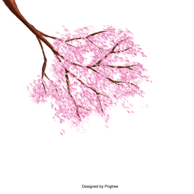 640x640 Cherry Blossom Vector Clipart Images Gallery For Free Download