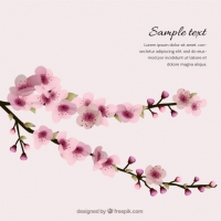 200x200 Cherry Blossom Vector Free Download Free Vector Graphic Art Free