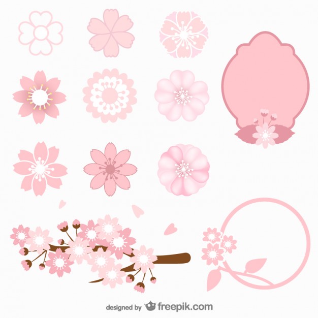 626x626 Cherry Blossoms Collection Free Vectors Ui Download