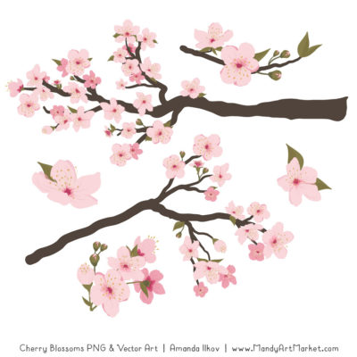 400x400 Cherry Clipart Blossoms For Free Download And Use Images
