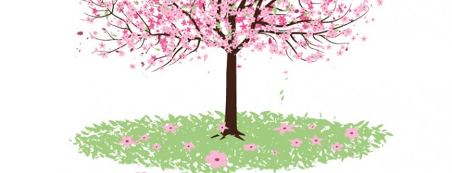 640x245 Free Cherry Blossom Vector Free Vector Graphics