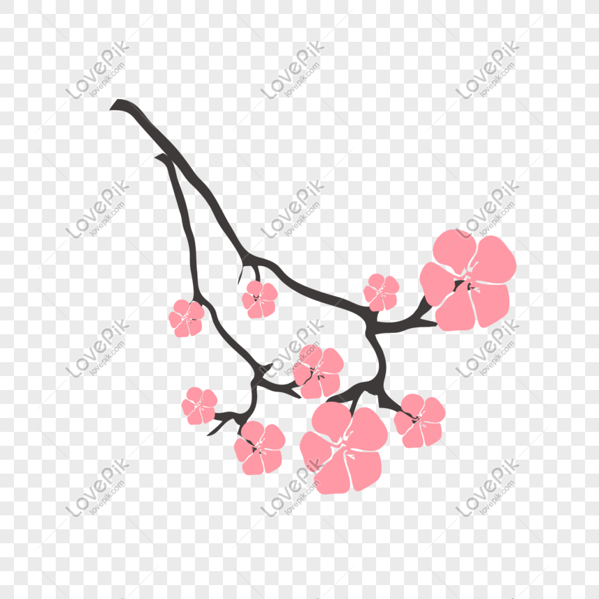 860x860 Pink Cherry Blossom Vector Picture Png Image Picture Free Download