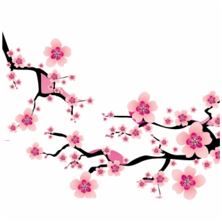 Cherry Blossom Vector Free at Vectorified.com | Collection of Cherry ...
