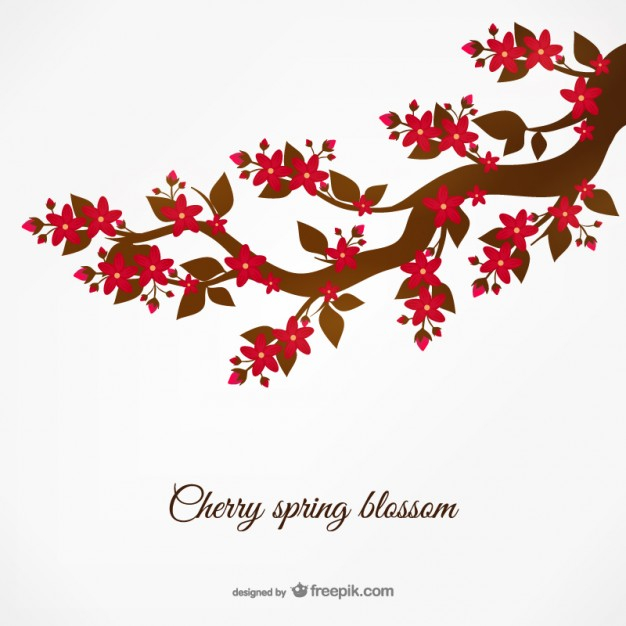626x626 Spring Cherry Blossom Vector