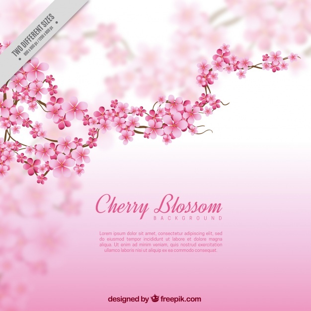 626x626 Blurred Background With Branch And Cherry Blossoms Vector