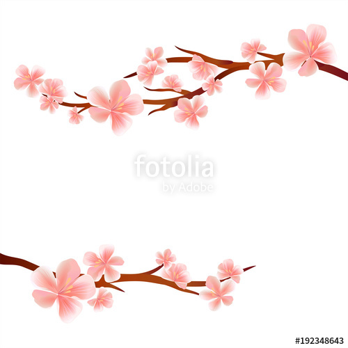 500x500 Branches Of Sakura With Pink Flowers Isolated On White Background