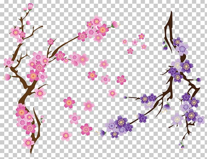 728x559 Cherry Blossom Drawing Png, Clipart, Blossom, Blossoms, Blossoms
