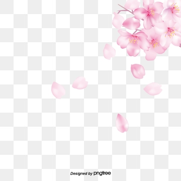360x360 Cherry Png, Vector, And Clipart With Transparent Background