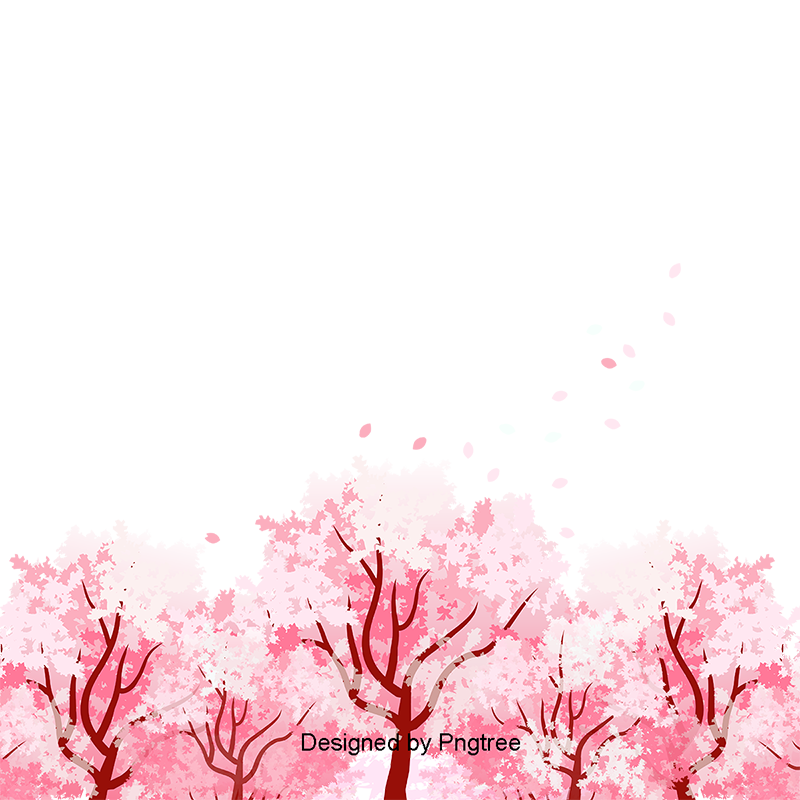 800x800 Cherry Blossoms Vector Clipart Images Gallery For Free Download