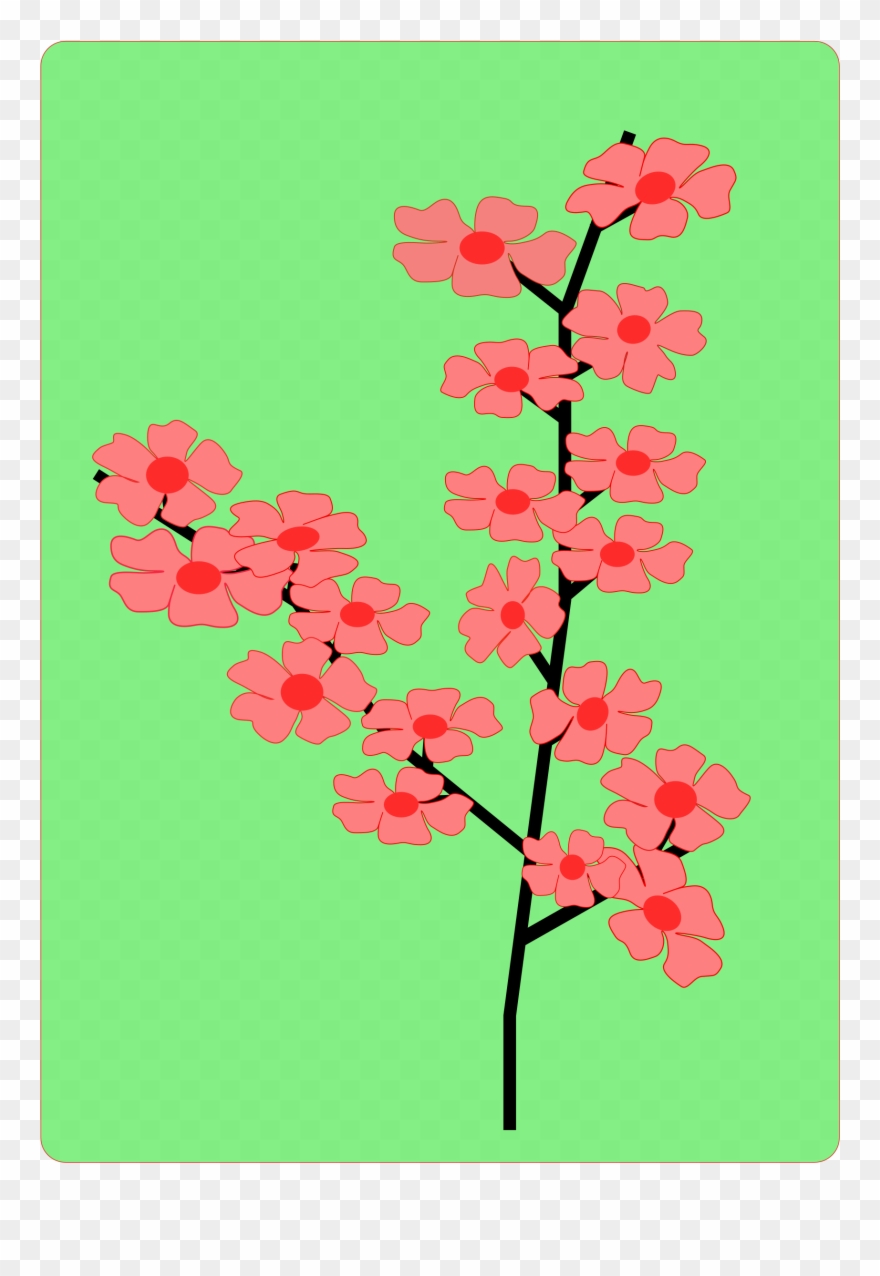 880x1276 Download Sakura Flower Vector Clipart Cherry Blossom