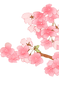 201x306 Free Cherry Blossom Vectors Download