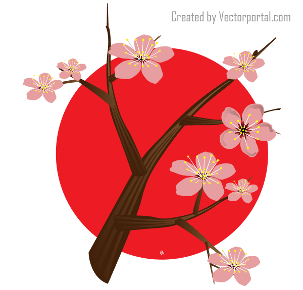 600x575 Japanese Cherry Blossom Vector Free Vectors Ui Download
