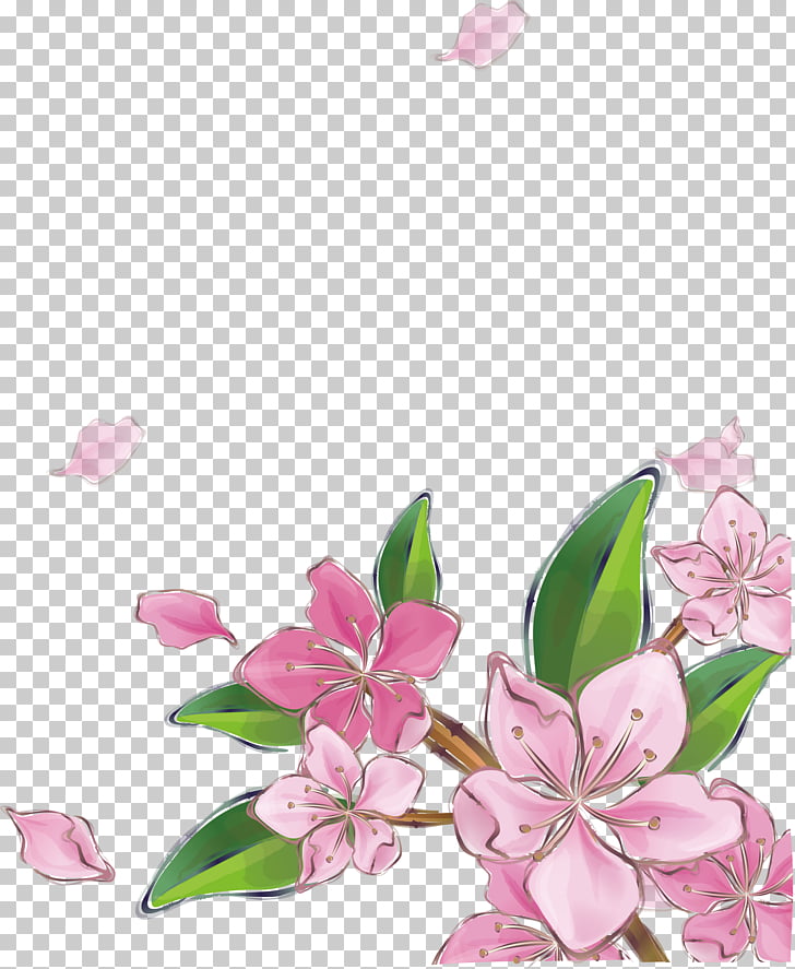 728x887 Pink Peach Blossom Pink Cherry Blossom Flower Png Clipart Free