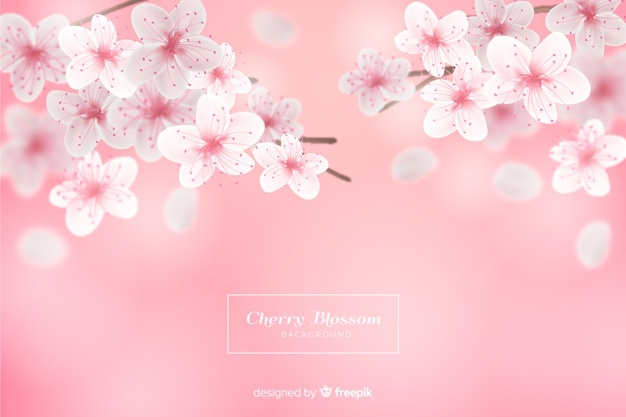 626x417 Blossom Vectors, Photos And Free Download