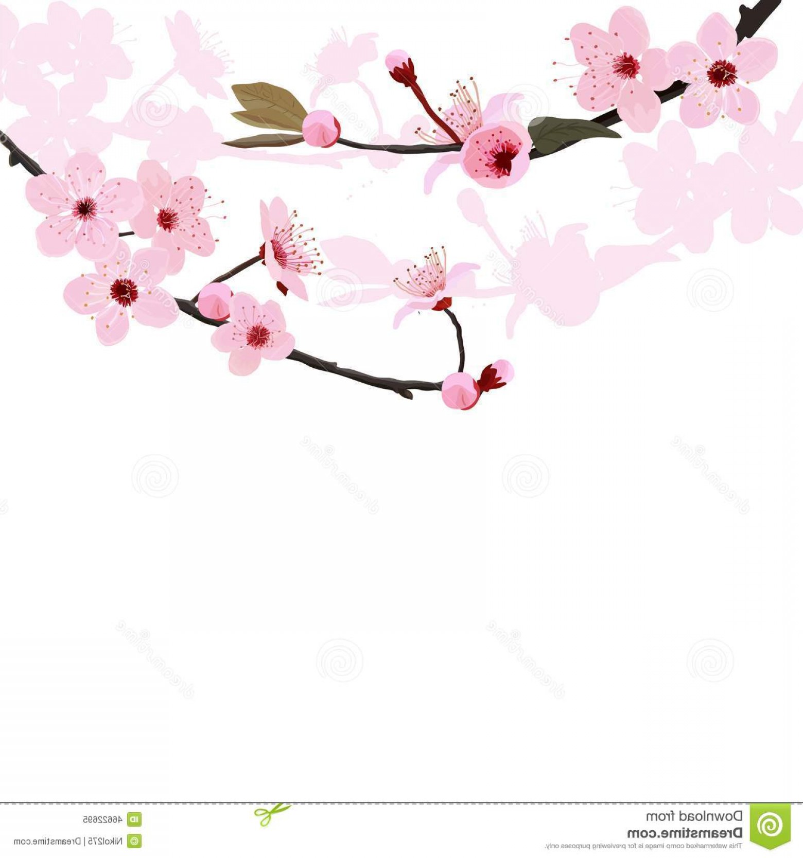 1560x1668 Stock Illustration Flower Tree Background Spring Border Blossom