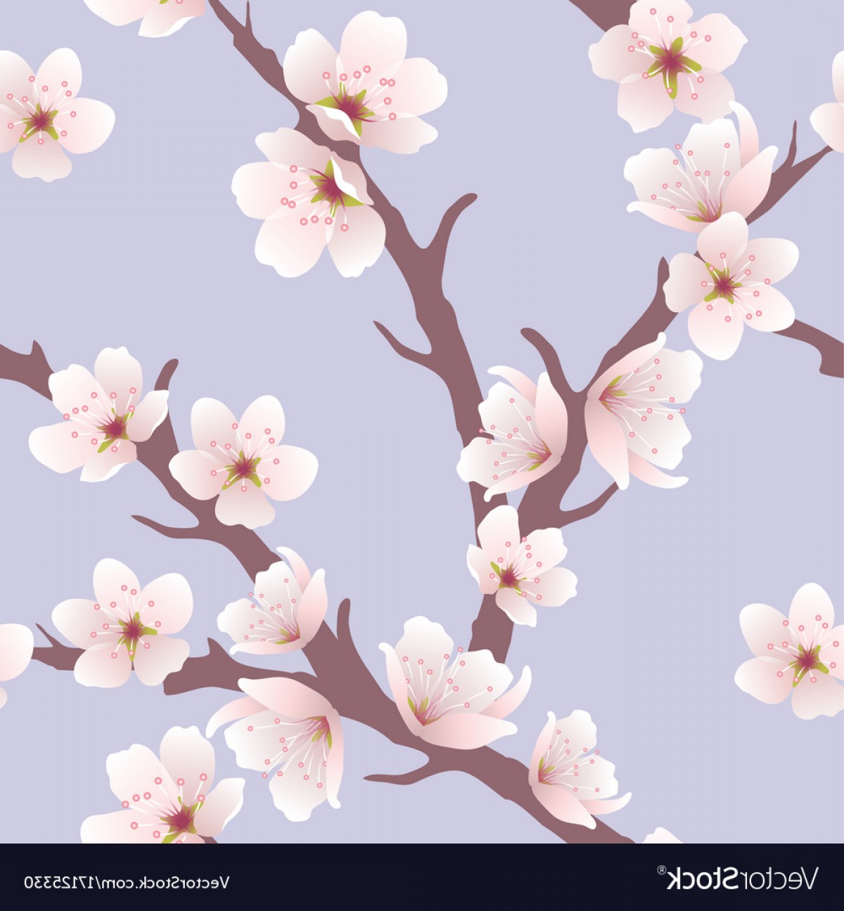 1200x1296 Vector Cherry Blossom Flower Studiogrfx