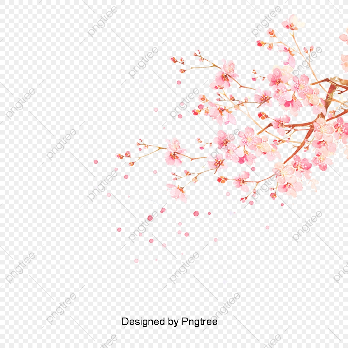 Cherry Blossom Vector Png at Vectorified.com | Collection of Cherry ...