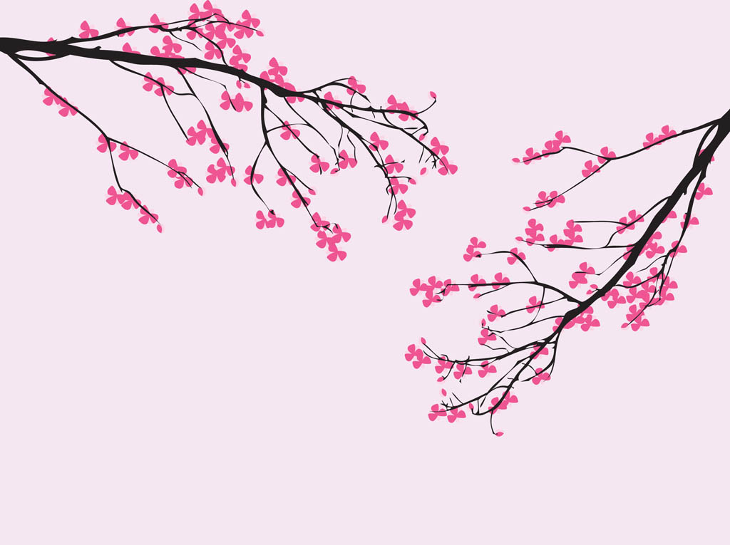 1024x765 Cherry Blossom Vector Graphics Free Vectors Ui Download
