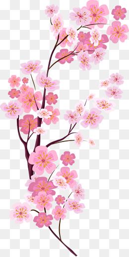 Cherry Blossom Vector Transparent