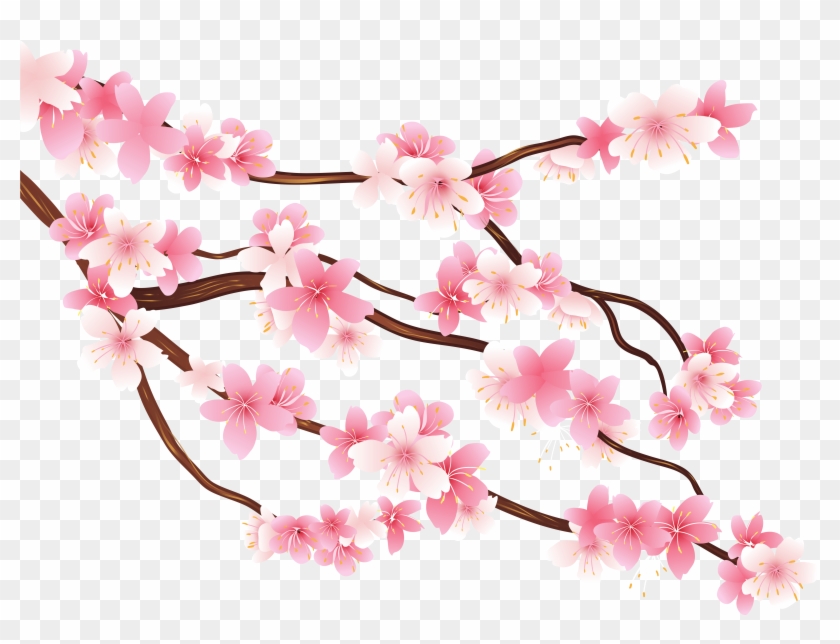 840x644 Cherry Blossom Flower Png Images