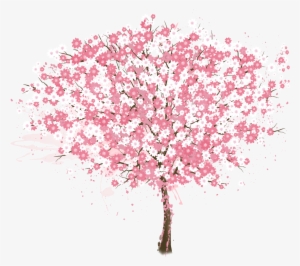 300x266 Cherry Blossom Tree Png, Free Hd Cherry Blossom Tree Transparent