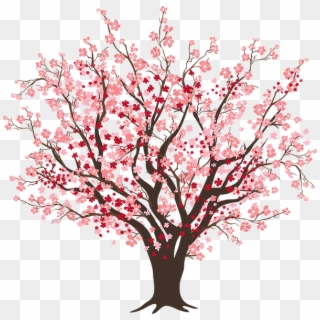 320x320 Cherry Blossoms Png Images, Free Transparent Image Download