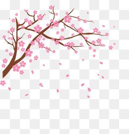 260x270 Cherry Clipart For Free Download And Use Images