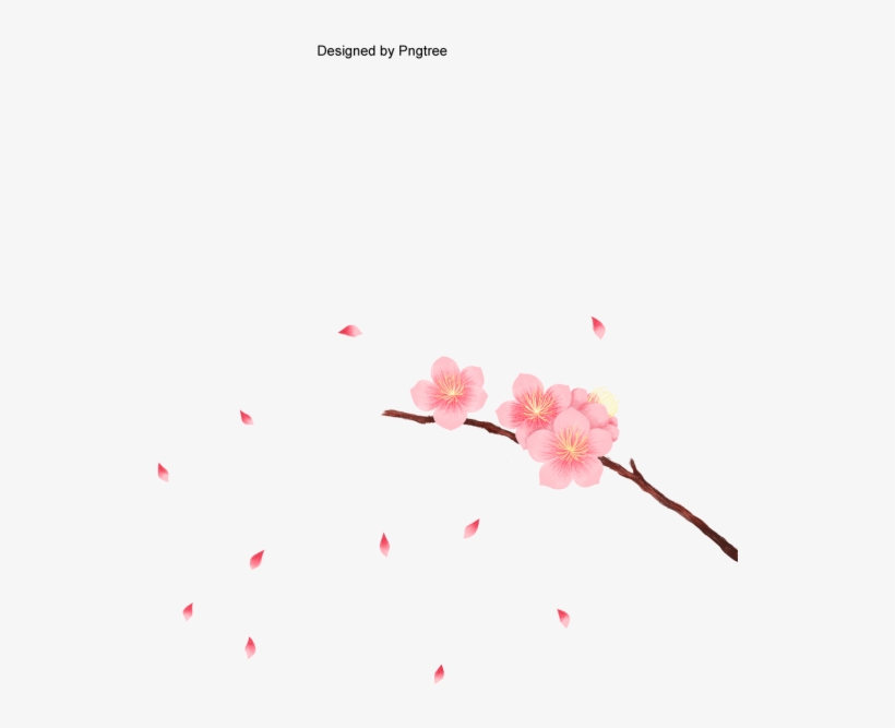 820x667 Peach Flower Png Vectors And Clipart