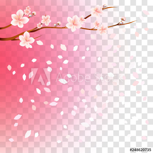500x500 Branch Of Sakura With Flowers And Flying Petals Isolated