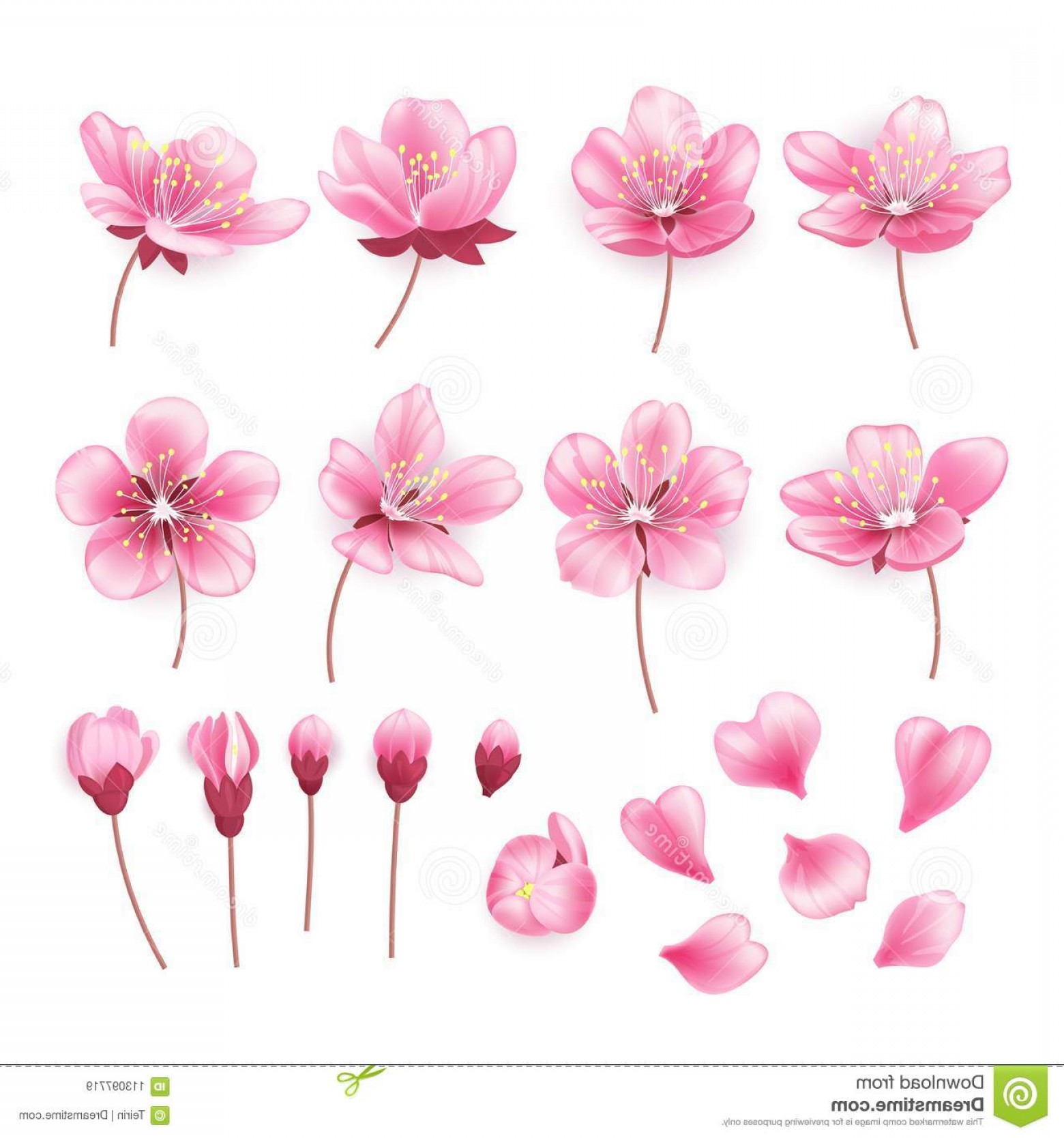 1560x1668 Pink Flower Vector Clip Art Transparent Background Studiogrfx