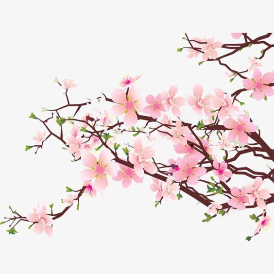 564x564 Pink Flowers, Watercolor Flowers, Chinese Style, Ink Flowers Png