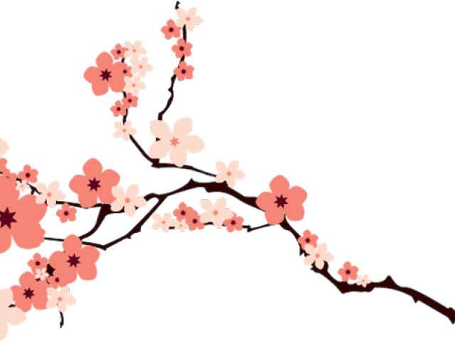 640x480 Cherry Blossom Clipart