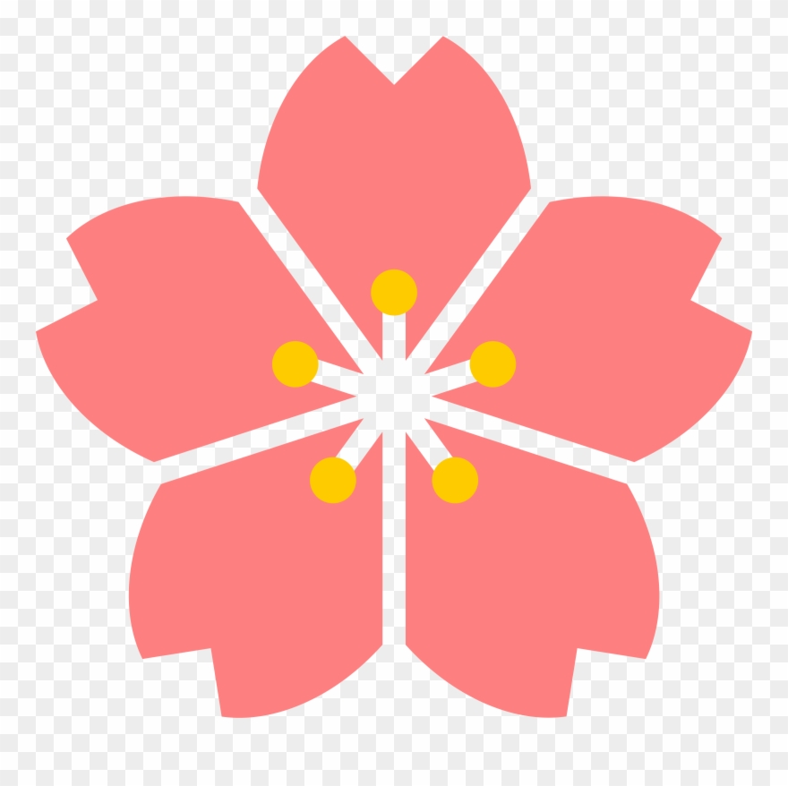 880x878 Cherry Blossom Clipart Transparent